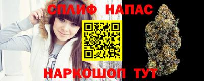 крисы Обнинск
