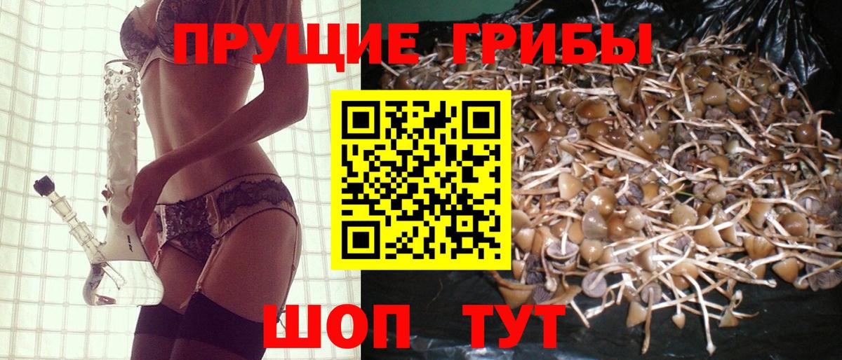 магазин  наркотиков  Вход с VPN  Сертолово  Галлюциногенные грибы ЛСД 